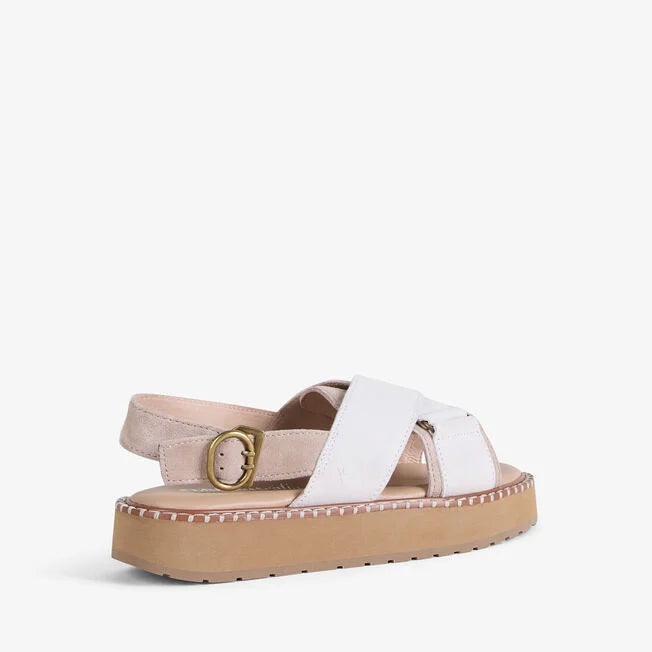 MORNA BEIGE