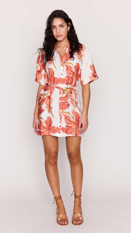 ISLA MINI SHIRT DRESS